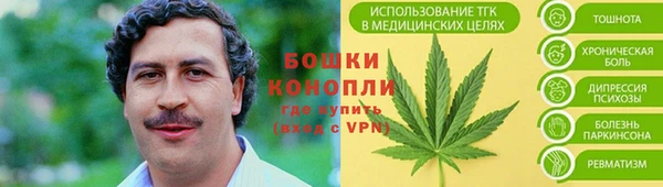 прущие крисы Балахна